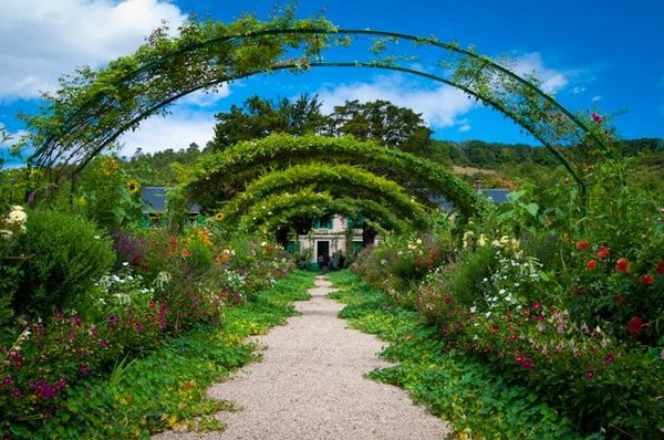 Comment créer un jardin de plantes luminescentes ?